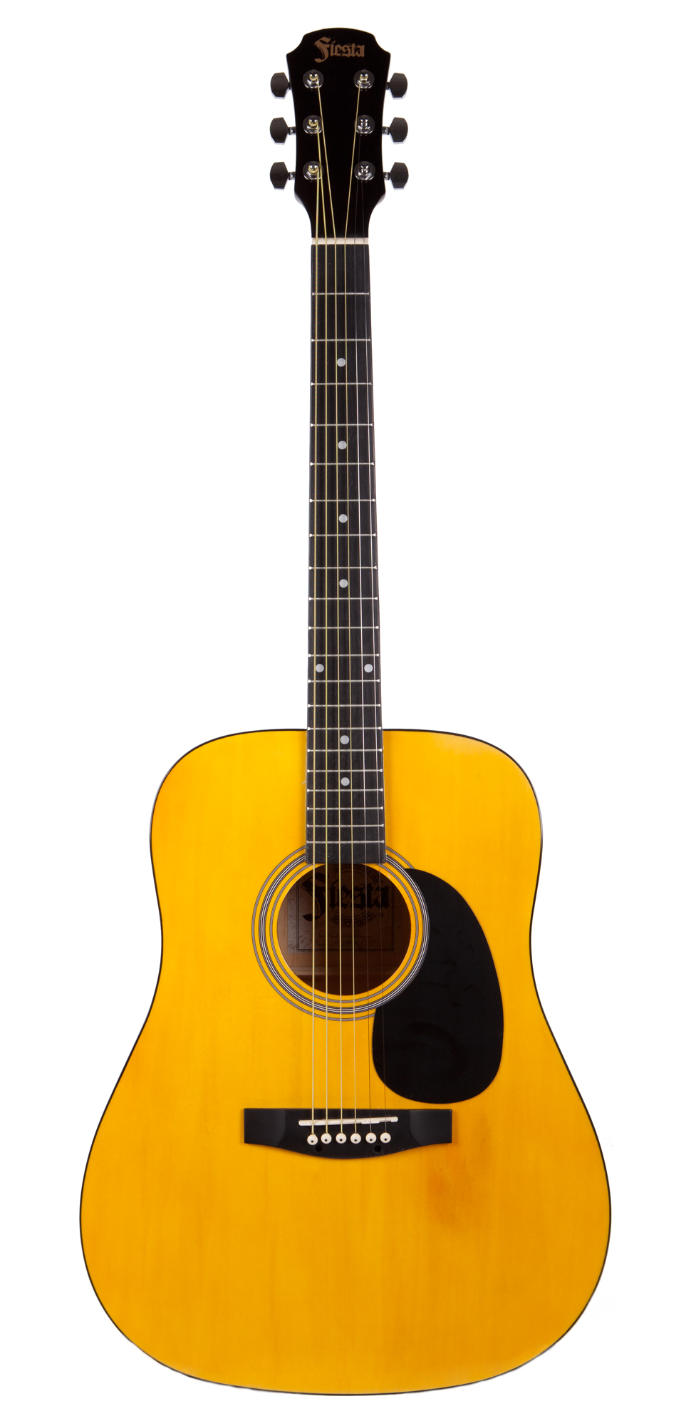 Гитара акустическая ARIA FIESTA FST-300 N