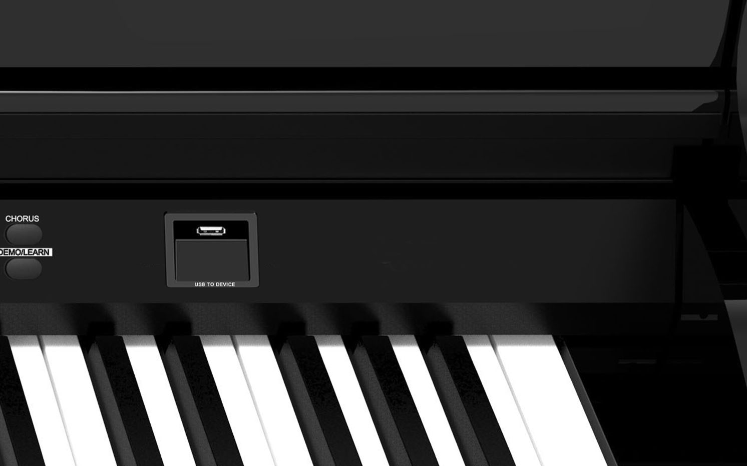 Цифровое пианино Ringway GDP1120 Black