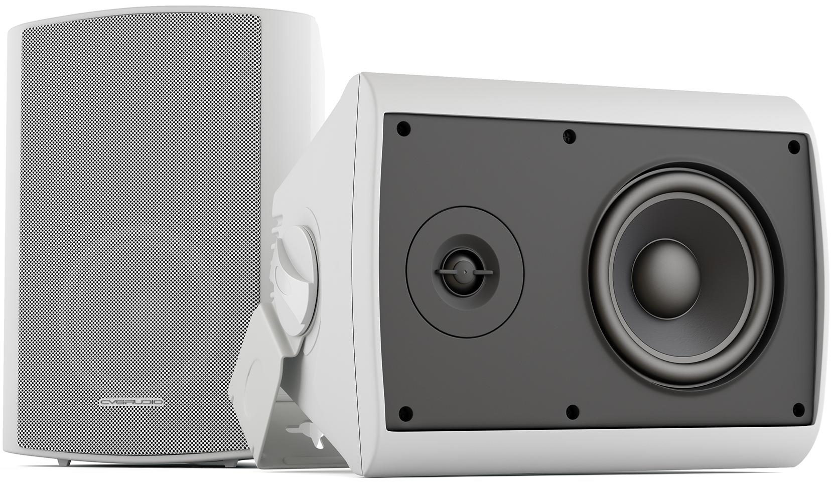 Громкоговоритель настенный CVGaudio NF5TW