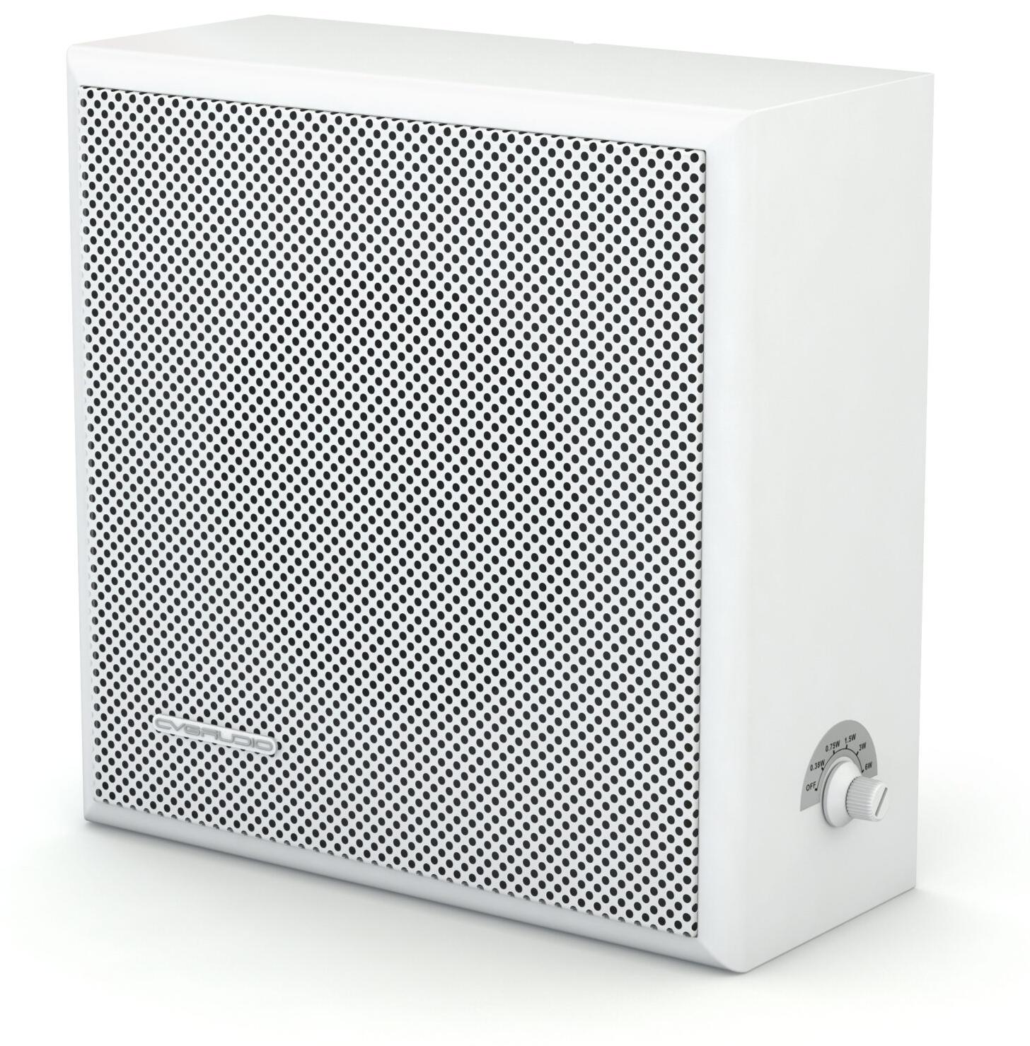 Громкоговоритель настенный CVGaudio WPS6T