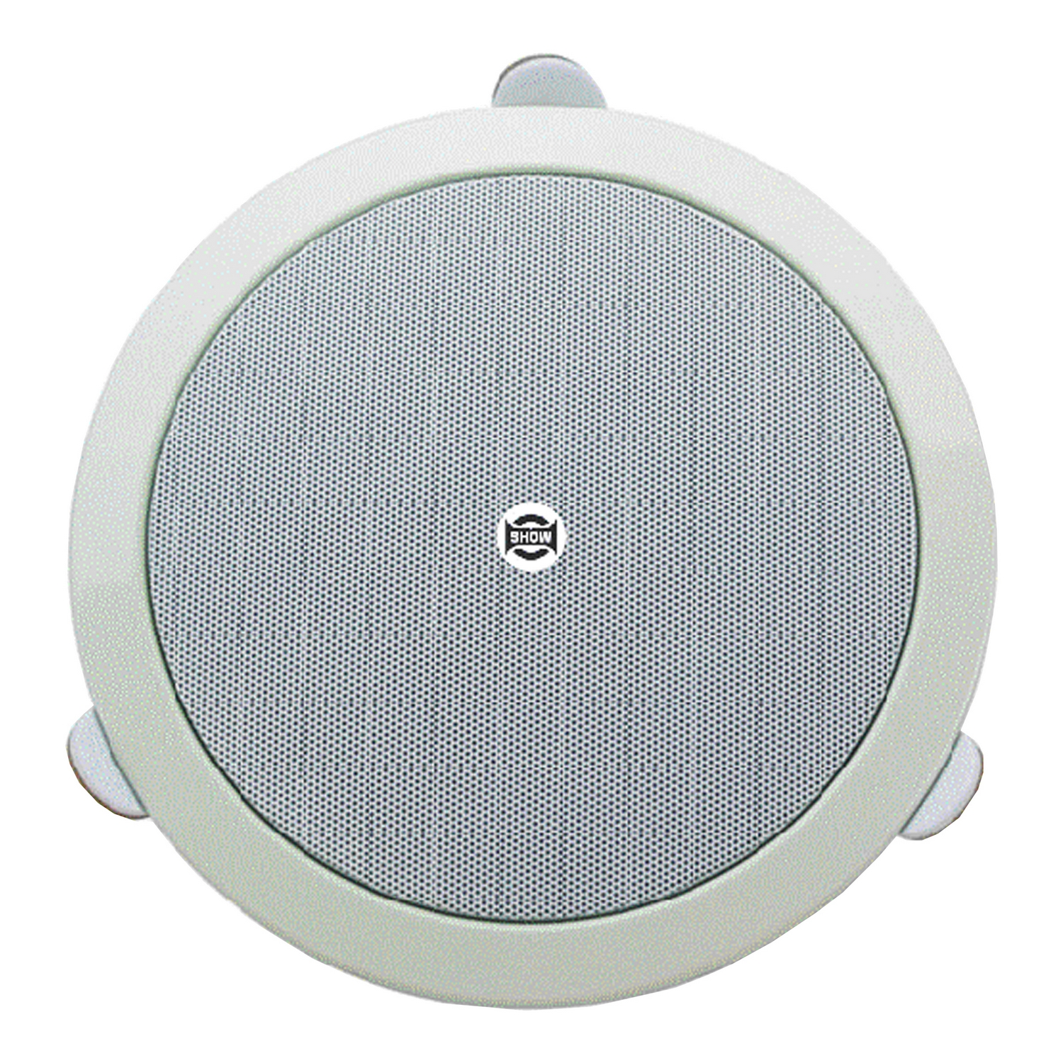 Громкоговоритель потолочный Show CSL6120