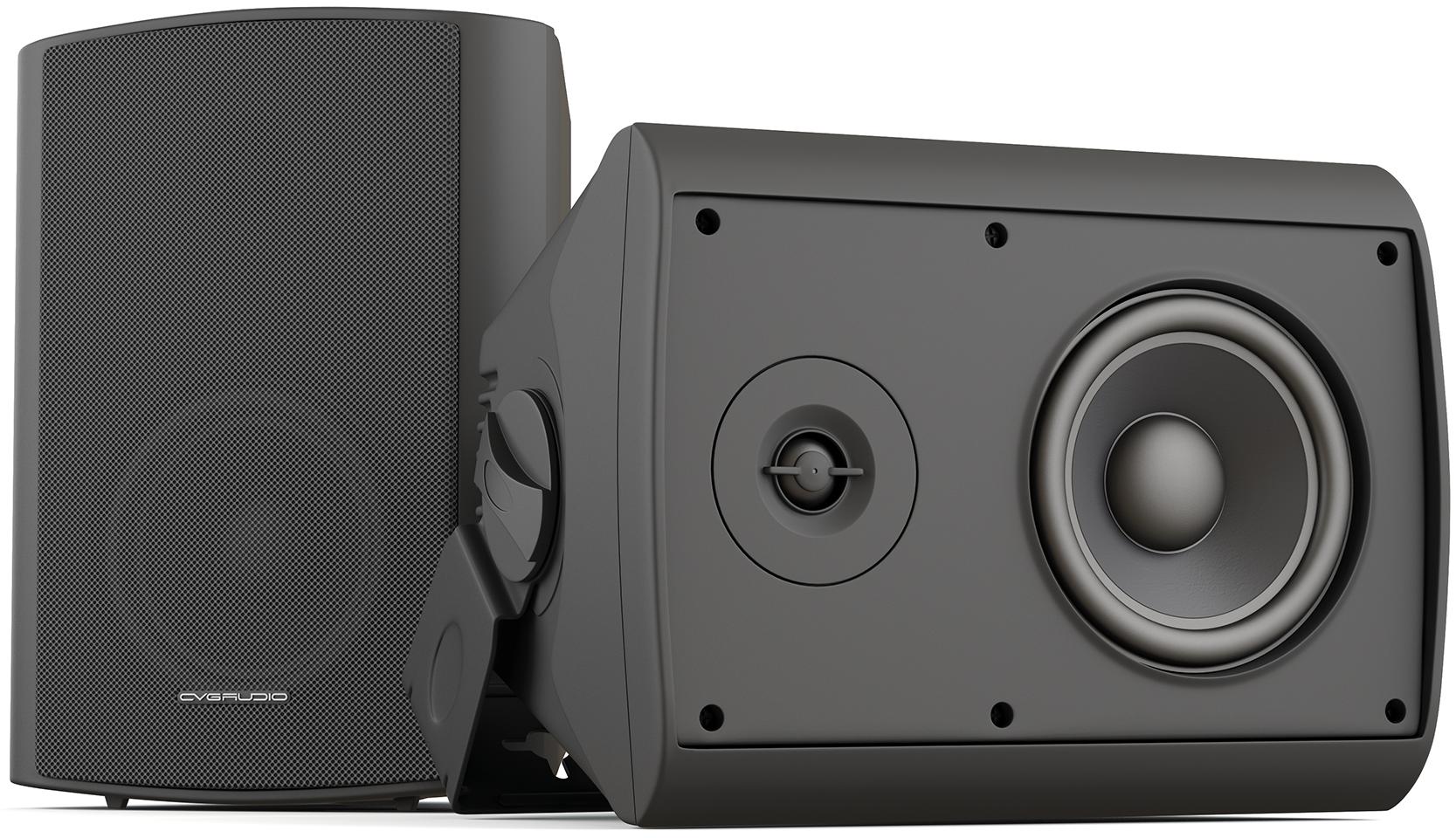 Громкоговоритель настенный CVGaudio NF5TBL