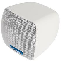 Громкоговоритель настенный CVGaudio ODF3TW