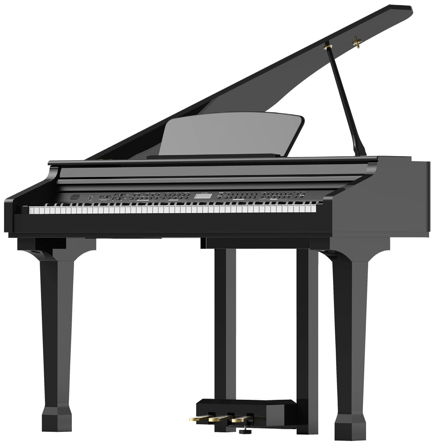 Цифровое пианино Ringway GDP1120 Black