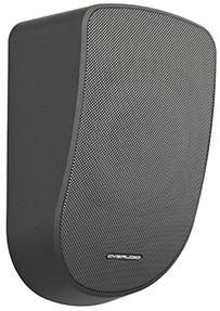 Громкоговоритель настенный CVGaudio WPL10TBL