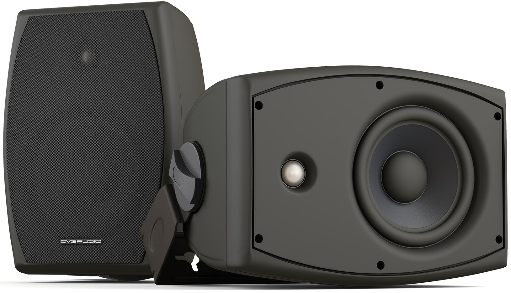 Громкоговоритель настенный CVGaudio ODF508TBL