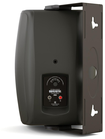 Громкоговоритель настенный CVGaudio ODF616TBL