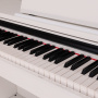Цифровое пианино Rockdale Toccata White