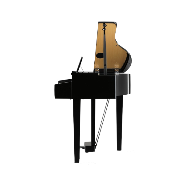 Цифровой рояль Kawai DG30EP