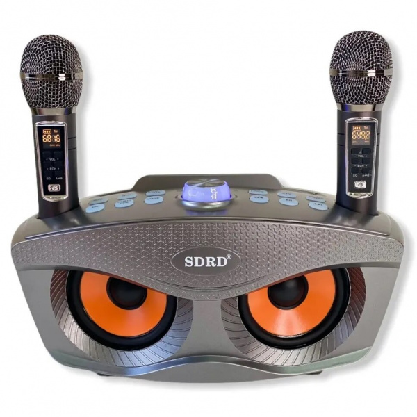 Караоке система с двумя радиомикрофонами SDRD SD 306 Plus Gold (Сова)