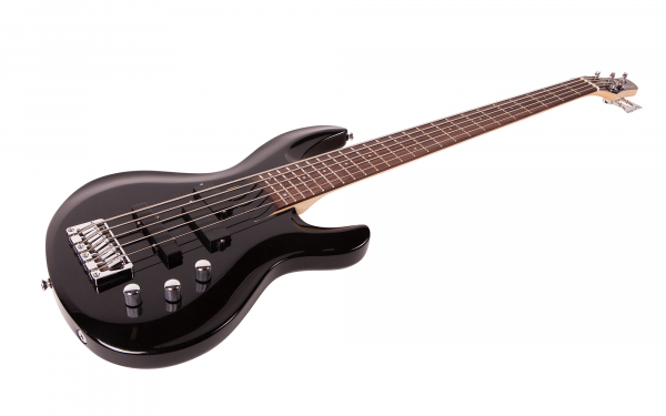 Бас-гитара ARIA IGB-STD/5 MBK