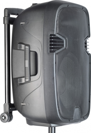 Портативная акустическая система Stagg RE-VOLT15