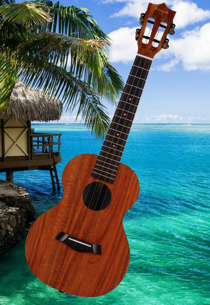 Укулеле Enya EUT-X1