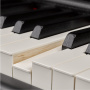 Цифровое пианино Yamaha P-515WH Set