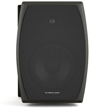 Громкоговоритель настенный CVGaudio ODF616TBL