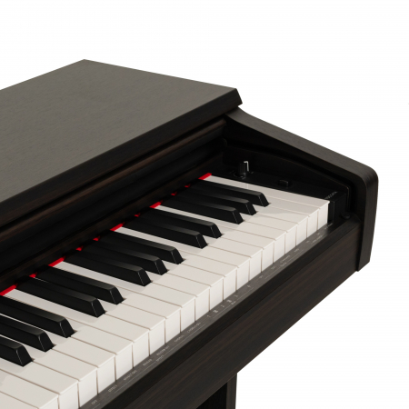 Цифровое пианино Rockdale Toccata Rosewood