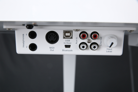 Цифровой рояль Ringway GDP6320 Polish Black