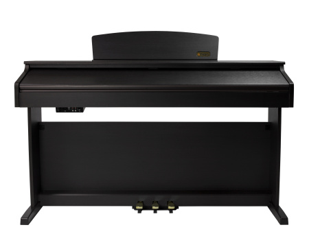 Цифровое пианино Artesia DP-10E Rosewood
