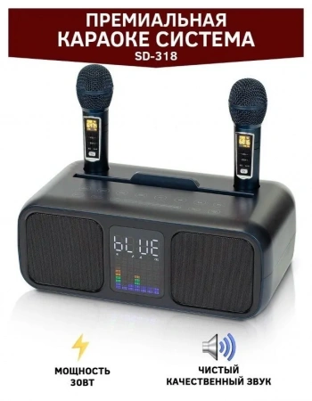 Караоке система с двумя радиомикрофонами SDRD SD 318 Gold