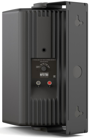 Громкоговоритель настенный CVGaudio NF5TBL