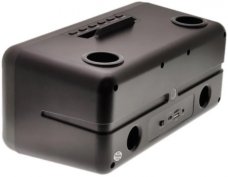 Караоке система с двумя радиомикрофонами  SDRD SD-319 Gold