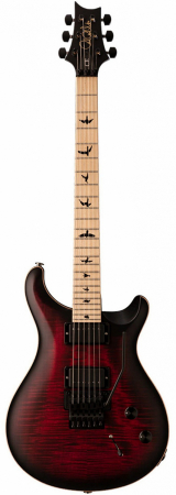 Электрогитара PRS CE24 Dustie Waring ZA Waring burst