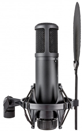 Микрофон студийный SE ELECTRONICS SE 2200