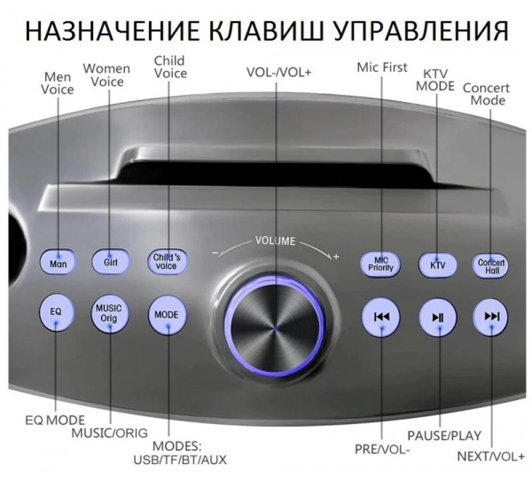 Караоке система с двумя радиомикрофонами SDRD SD 306 Plus Gray (Сова)
