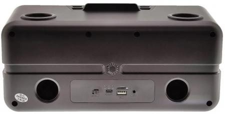 Караоке система с двумя радиомикрофонами  SDRD SD-319 Gold