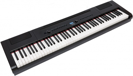 Цифровое пианино Rockdale RDP-4088 (Elegy) Black