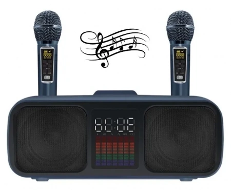Караоке система с двумя радиомикрофонами SDRD SD 318 Gold