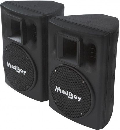 Пассивная акустическая система MADBOY BONEHEAD-208