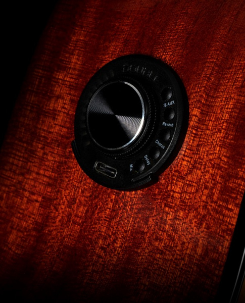 Трансакустическая гитара Smiger SM-401-TR