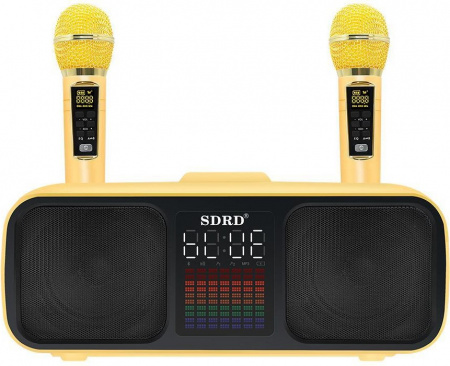 Караоке система с двумя радиомикрофонами SDRD SD 318 Gold