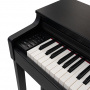 Цифровое пианино Rockdale Concert Black
