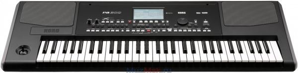 Аранжировочная станция KORG Pa300