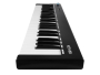MIDI клавиатура Axelvox KEY49j Black