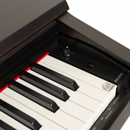 Цифровое пианино Rockdale Bolero Rosewood