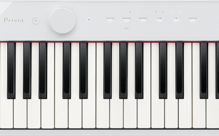 Цифровое пианино Casio Privia PX-S1100WE