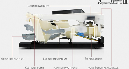 Цифровое пианино Kawai CN301 R