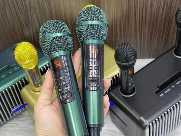 Караоке система с двумя радиомикрофонами  SDRD SD-319 Emerald Green