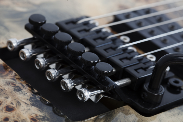 Электрогитара SCHECTER C-6 FR PRO CB