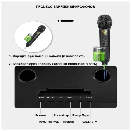 Караоке система с двумя радиомикрофонами  SDRD SD-319 Gold