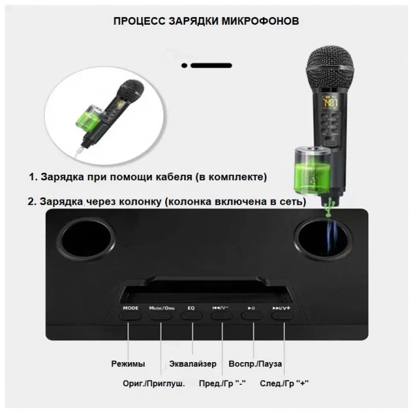 Караоке система с двумя радиомикрофонами  SDRD SD-319 Black
