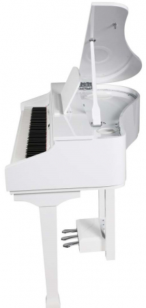 Цифровой рояль Ringway GDP1120 Black