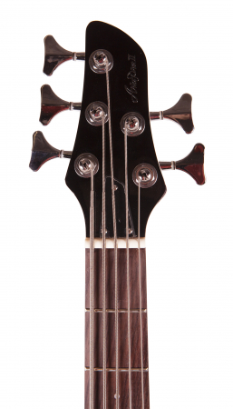 Бас-гитара ARIA IGB-STD/5 MBK
