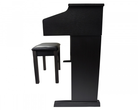 Цифровое пианино Artesia DP-10E Rosewood