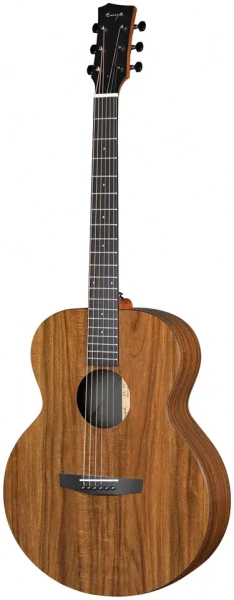 Гитара акустическая Enya EM-X1+