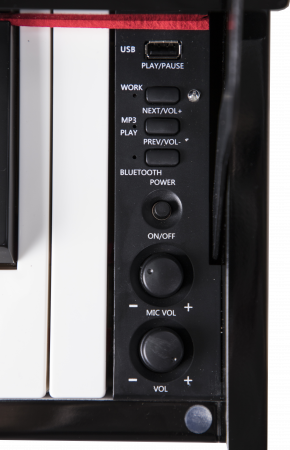 Цифровое пианино Grand Sound GS-X820 BK