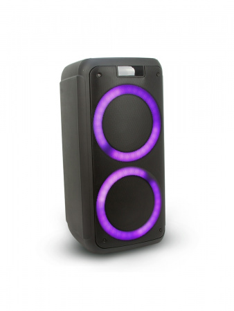 Портативная Акустическая система ELTRONIC EL 20-12